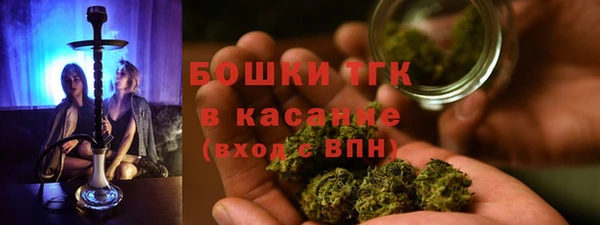 гашиш Богданович