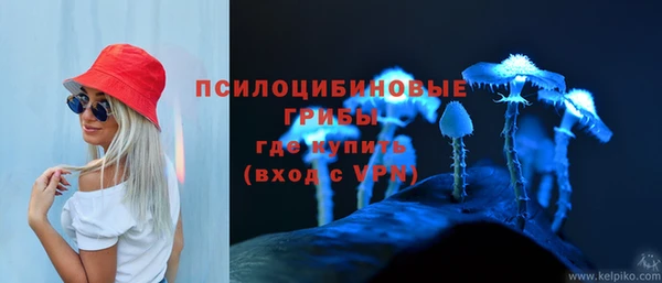 СК Беломорск