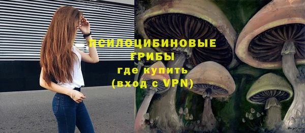 СК Беломорск