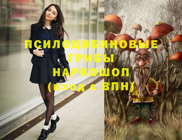 гашиш Богданович