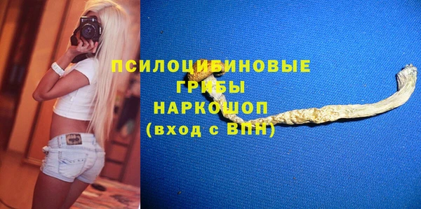 гашиш Богданович