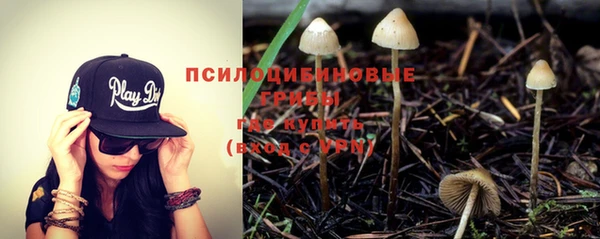 гашиш Богданович
