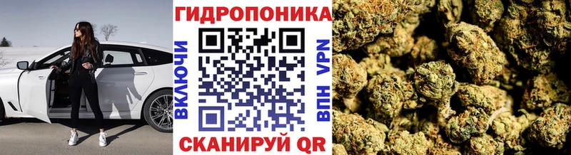 МЕГА ссылки  Богородицк  Канабис AK-47  как найти наркотики 